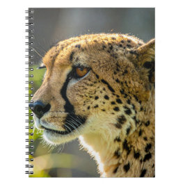 Cuaderno leopard
