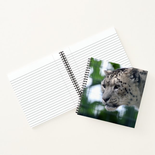 Cuaderno Leopard 003 (Interior)