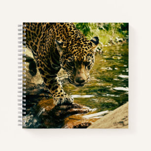 Cuaderno Leopard cruzando una fotografía de streaming