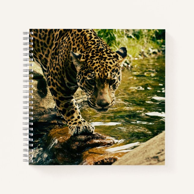 Cuaderno Leopard cruzando una fotografía de streaming (Anverso)