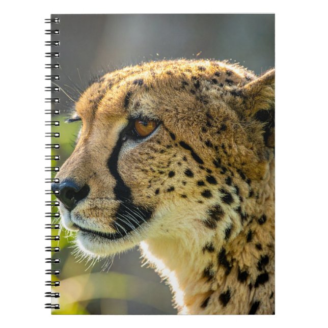Cuaderno leopardo (Frente)