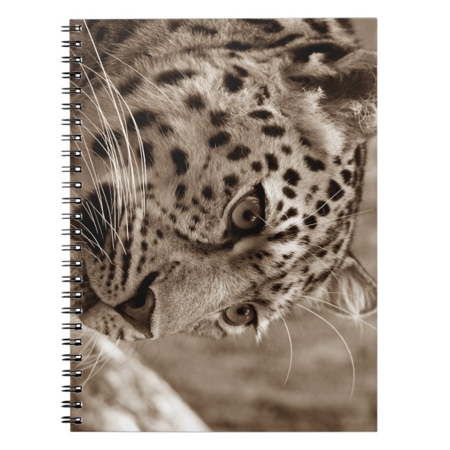Cuaderno leopardo, animal, safari (Frente)