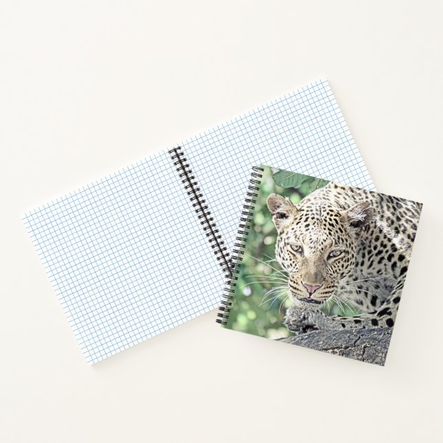 Cuaderno leopardo de animales smartmix 2 (Interior)