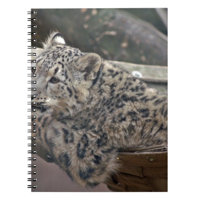 Cuaderno Leopardo de la nieve (Frente)