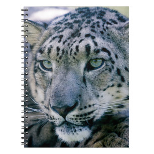 Cuaderno Leopardo de la nieve