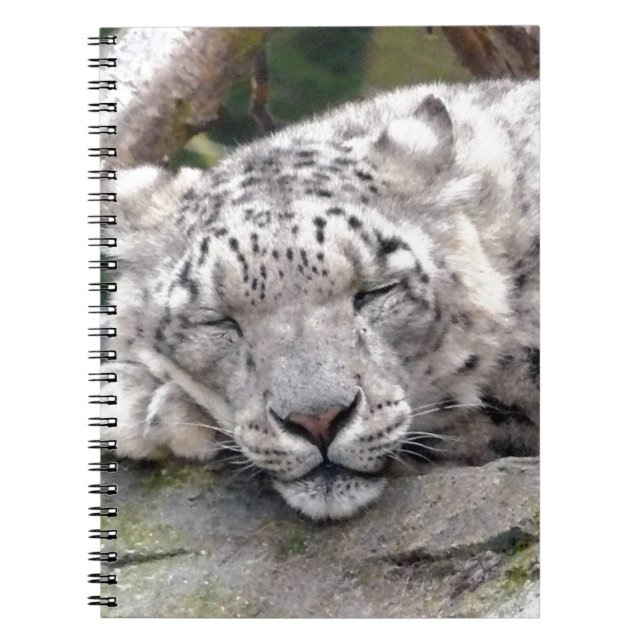 Cuaderno Leopardo de la nieve - ¡hermoso! (Frente)