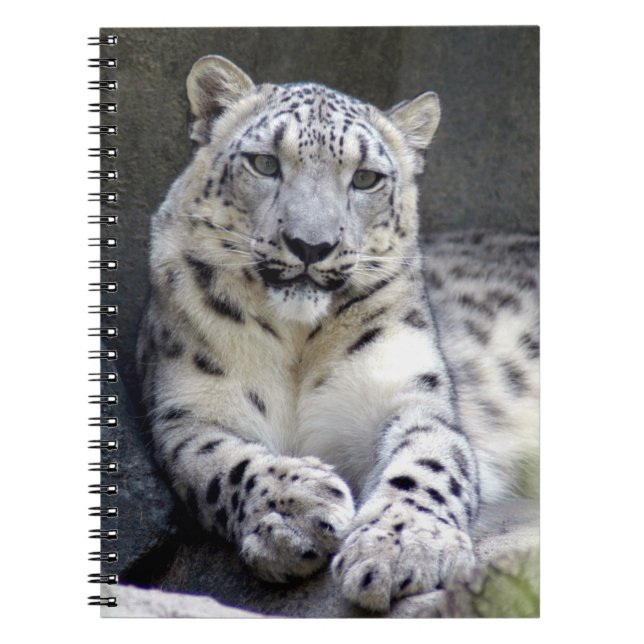 Cuaderno leopardo de las nieves 27 (Frente)
