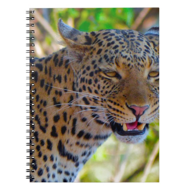 Cuaderno Leopardo localizado (Frente)