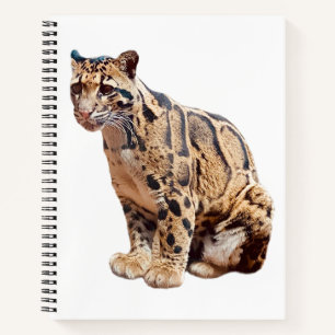 Cuaderno leopardo nublado fotografía selva gran gato animal