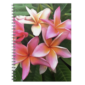Cuaderno Leyenda De Flor De Frangipani Pink Pálido