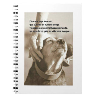 Cuaderno Leyenda sobre las aves marinas