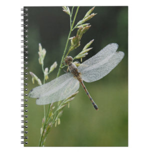 Cuaderno Libélula Darner cubierta de rocío