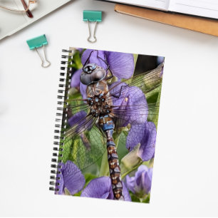 Cuaderno Libélula Darner de Ojos Azules en Flor