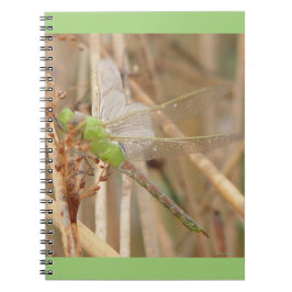 Cuaderno Libélula verde I1