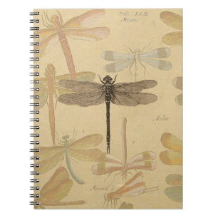 Cuaderno Libélula Vintage Antigua Clásica Naturaleza
