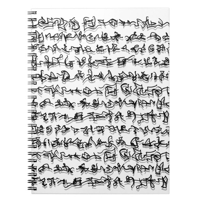 Cuaderno Libro con escritura antigua (Frente)
