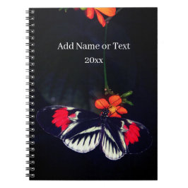 Cuaderno Libro de fotos de mariposa