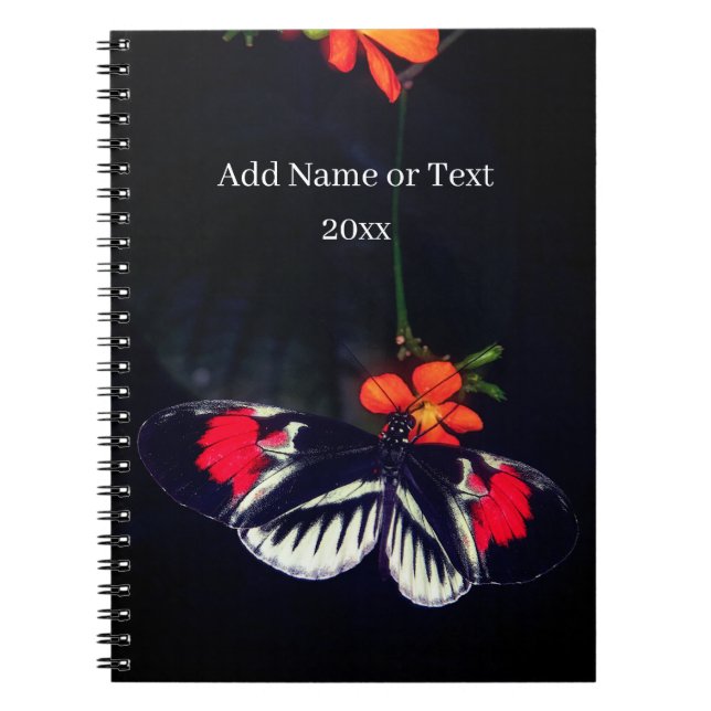 Cuaderno Libro de fotos de mariposa (Frente)