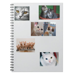 Cuaderno Libro de Gatos
