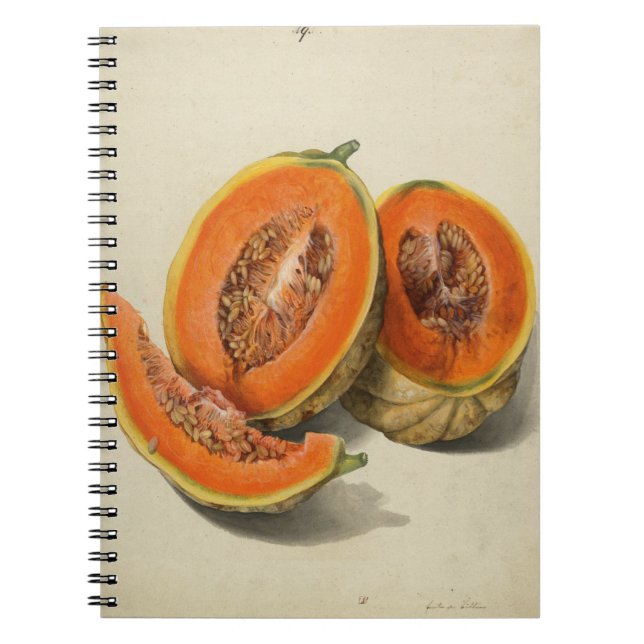 Cuaderno Libro de ilustracion del melón de cantaloupe en ro (Frente)