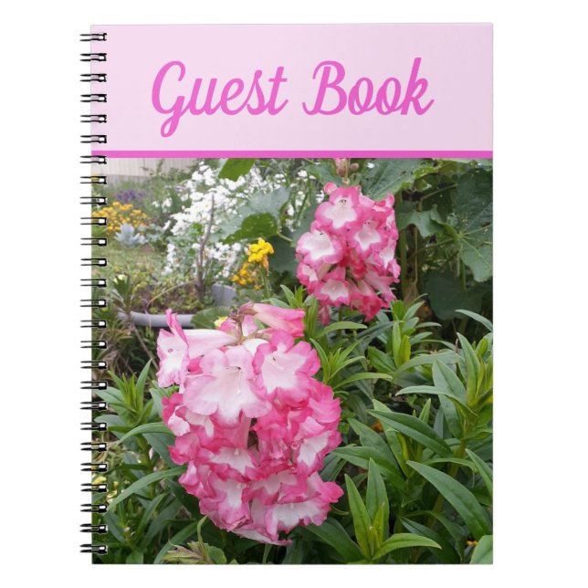 Cuaderno Libro de invitados Penstemon Hermosa Flor rosa (Frente)