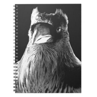 Cuaderno Libro de notas de arte de cuarzo de arte de gallo
