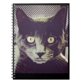 Cuaderno Libro de notas de Bender