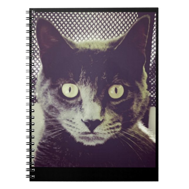 Cuaderno Libro de notas de Bender (Frente)