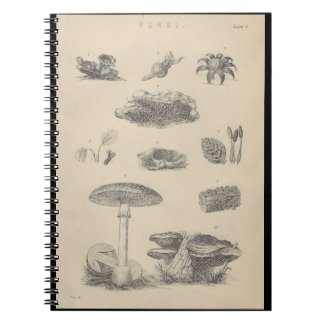 Cuaderno Libro de notas de Ilustracion de hongos del siglo