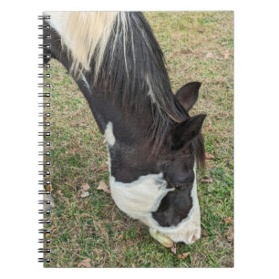 Cuaderno Libro de notas sobre caballos