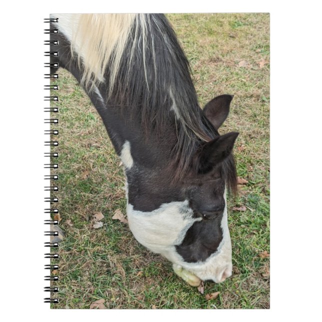 Cuaderno Libro de notas sobre caballos (Frente)