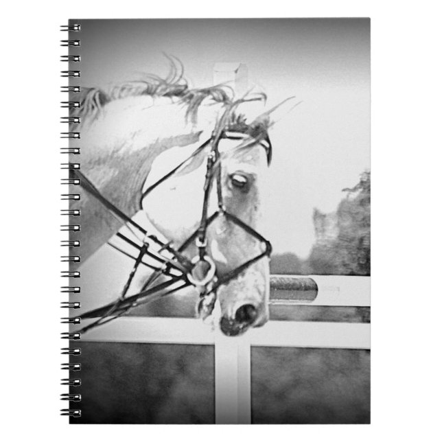 Cuaderno Libro de notas sobre caballos en inglés (Frente)