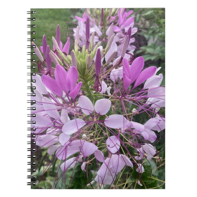 Cuaderno Libro de notas sobre las flores moradas (Frente)