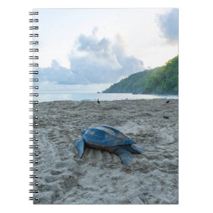 Cuaderno Libro de notas sobre tortugas laúd