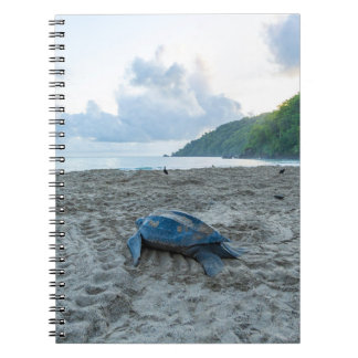 Cuaderno Libro de notas sobre tortugas laúd