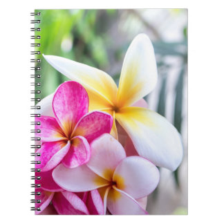 Cuaderno libro de recetas de orquídeas, opal Hawaii