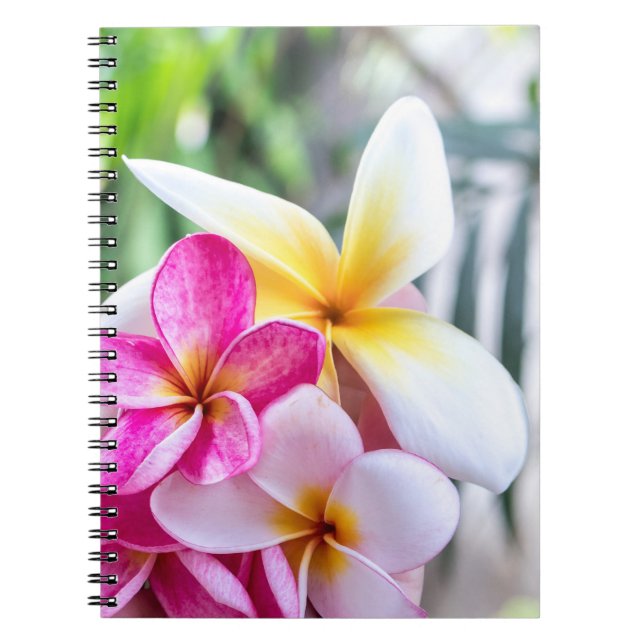 Cuaderno libro de recetas de orquídeas, opal Hawaii (Frente)