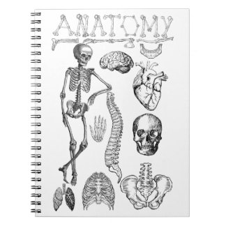 Cuaderno Libro de texto sobre anatomía humana para notas