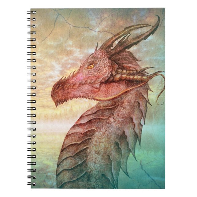 Cuaderno Libro del dragón de secretos (Frente)