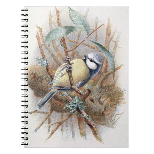 Cuaderno Libro Euroasiático de notas sobre aves azules (Frente)