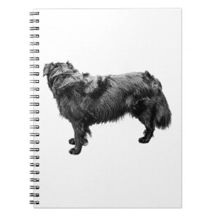 Cuaderno Libro Mayor del Otoño