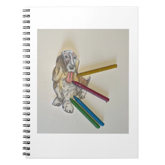 Cuaderno Libros de notas de Bassie (Frente)