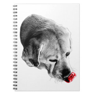 Cuaderno Lick of Inspiration