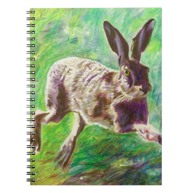 Cuaderno Liebres alegres 2011 (Frente)