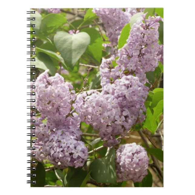 Cuaderno Lilac Bush hermosas flores de primavera morada (Frente)
