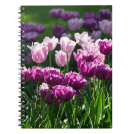 Cuaderno Lílago brillante y tulipanes rosados en un día sol