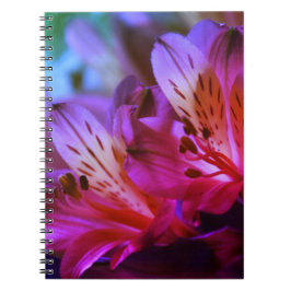 Cuaderno Lilies Floral Journal o bloc de notas