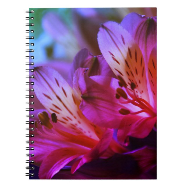 Cuaderno Lilies Floral Journal o bloc de notas (Frente)