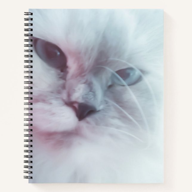Cuaderno Lilly (Anverso)