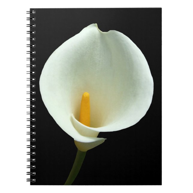 Cuaderno Lilly Notebook (Frente)